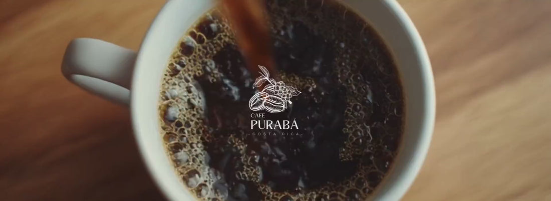 Café Purabá — clip de marca panorámico con logo